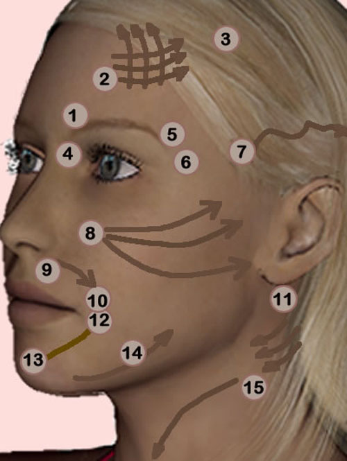 Massage du visage japonais
