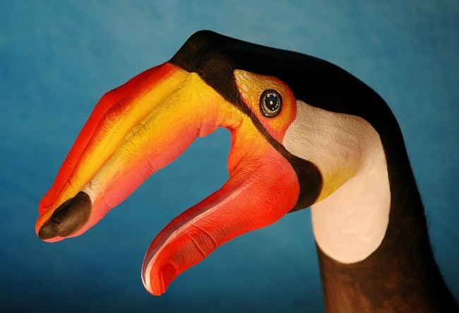 La main est peinte sous un oiseau