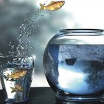 Comfort Zone: comment l'agrandir?
