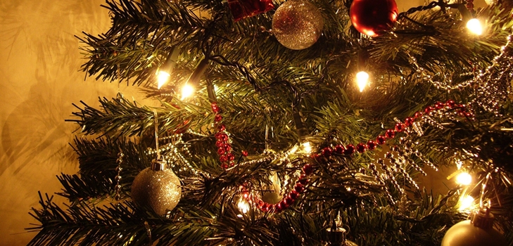 Que faire avec l'arbre après la nouvelle année