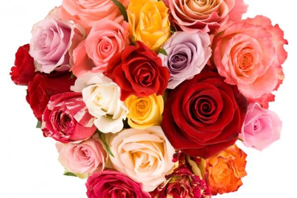 Saint Valentin 2016: des cadeaux originaux et les meilleures salutations en vers
