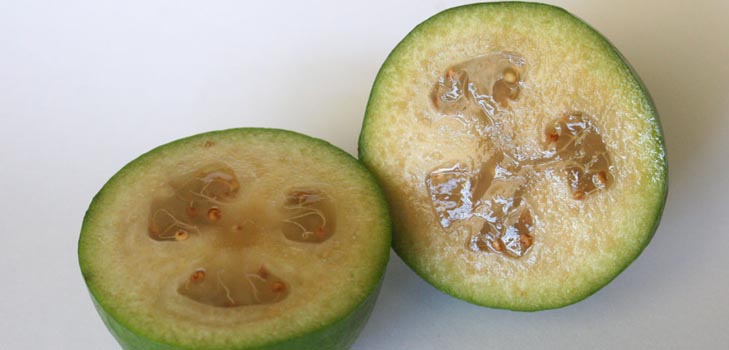Feijoa - propriétés utiles, avantages et inconvénients de feijoa