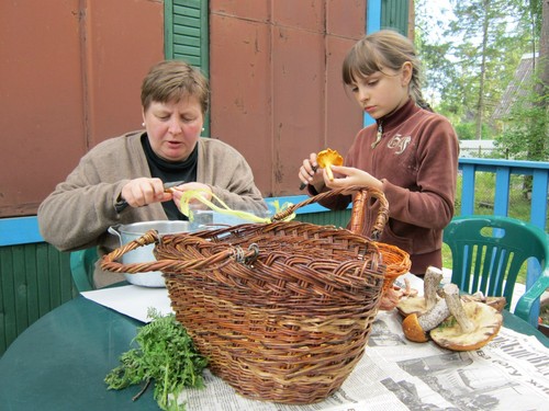 Comment nettoyer les champignons: conseils pratiques