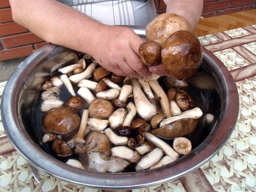 Comment nettoyer les champignons: conseils pratiques