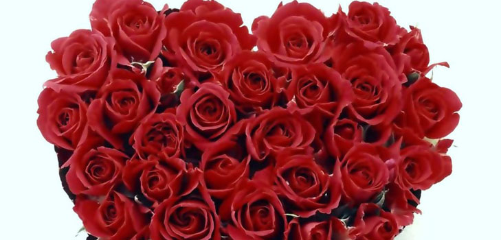 Comment féliciter une fille pour la Saint-Valentin: les meilleures façons