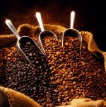 Comment faire cuire le café?