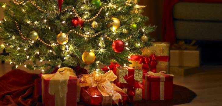 Comment faire durer un arbre plus longtemps
