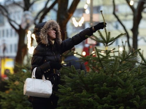 Comment faire durer un arbre plus longtemps