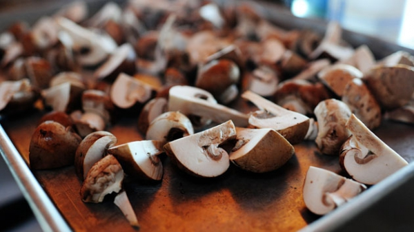 Comment sécher les champignons