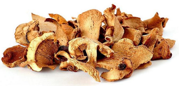 Comment sécher les champignons