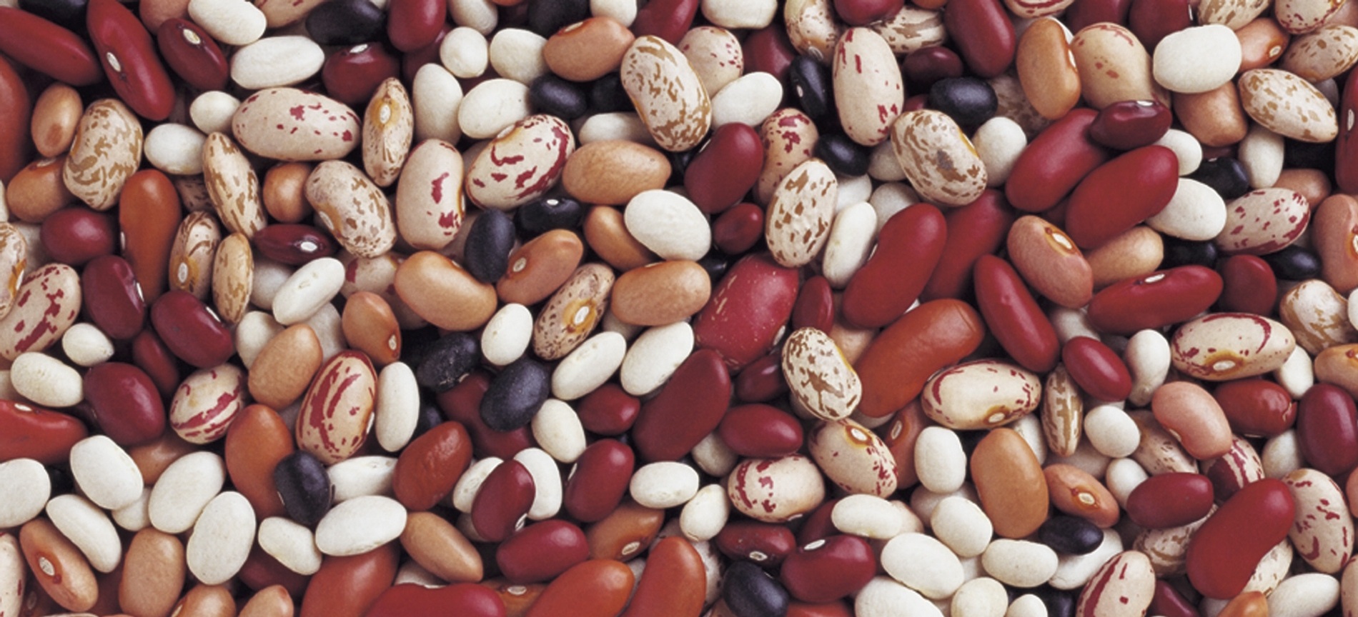 Comment faire cuire les haricots