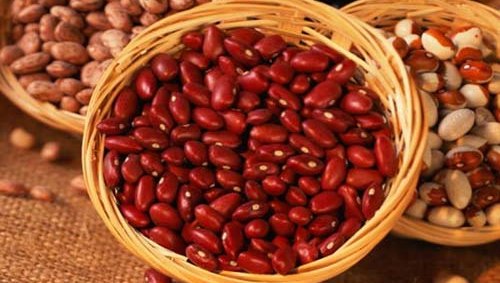Comment faire cuire les haricots