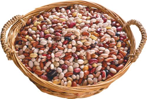 Comment faire cuire les haricots