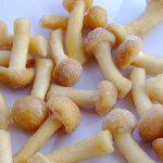 Comment congeler les champignons pour l'hiver