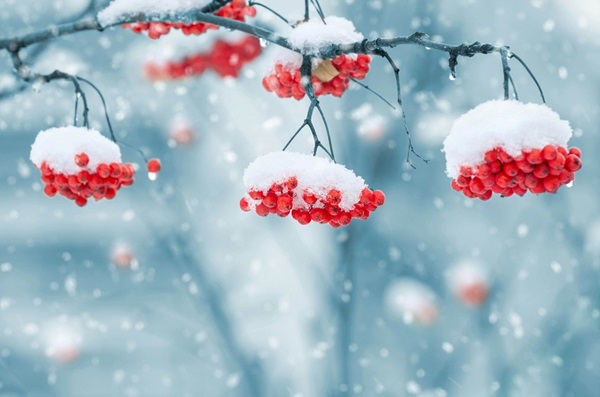 Quel sera l'hiver 2017-2018 en Russie et en Ukraine - la prévision la plus précise du Centre hydrométéorologique
