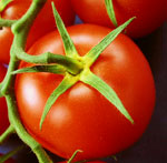 Conservation des tomates