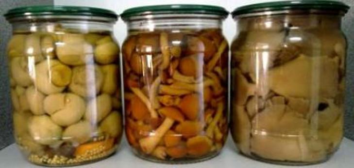 Champignons en conserve pour l'hiver