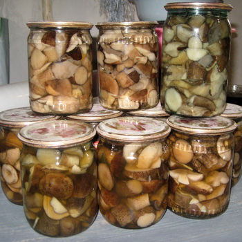 Champignons en conserve pour l'hiver