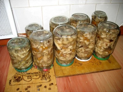 Champignons en conserve pour l'hiver