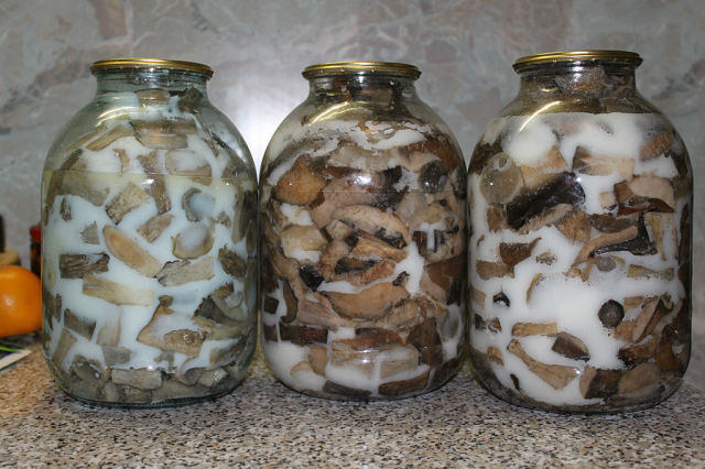 Champignons en conserve pour l'hiver