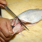 Traitement de poissons de différents types