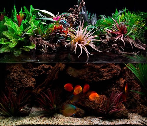 Faire un aquarium avec vos propres mains