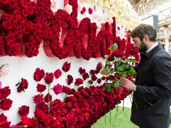 Saint-Valentin 2016: idées cadeaux originales et meilleures félicitations