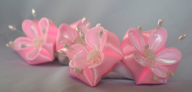 beaux clips de cheveux