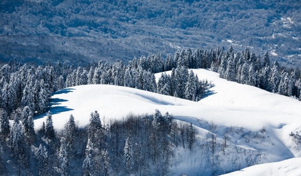 Météo à Sotchi en Février 2017