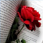 Félicitations pour la Saint-Valentin en vers