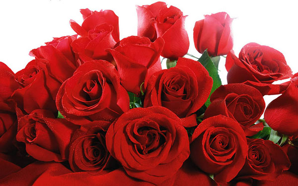 Félicitations pour le jour de tous les amoureux en 2017 en vers et en prose