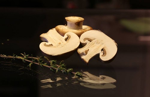 Champignons comestibles: classification et précautions