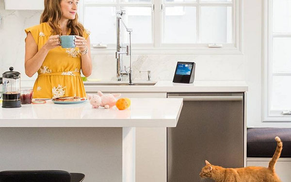 Acoustique Smart Home: système Amazon Echo Show