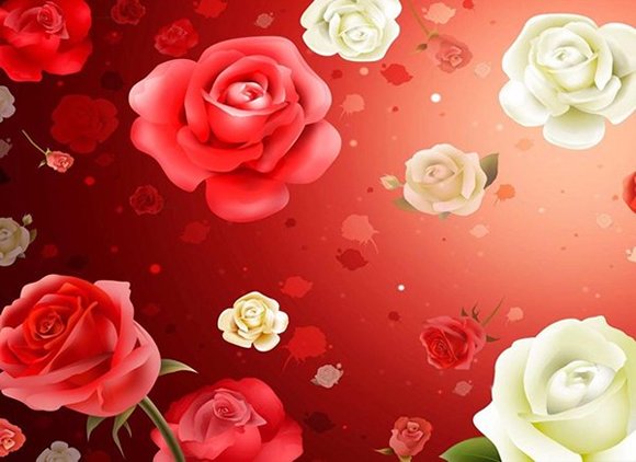 dessin de roses