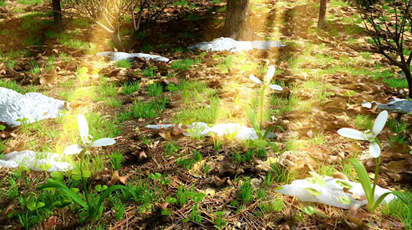 Composition sur le thème du printemps