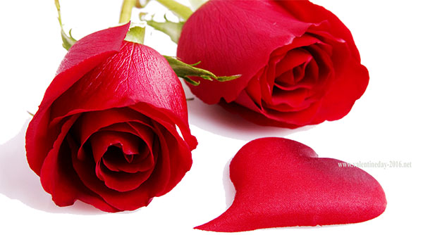 Poèmes pour la Saint-Valentin