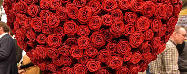 Poèmes sur l'amour