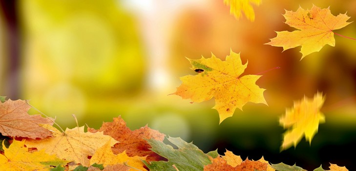 Des poèmes courts et beaux sur l'automne pour les enfants à la maternelle et à l'école