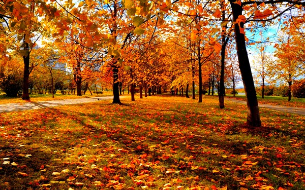 Des poèmes courts et beaux sur l'automne pour les enfants à la maternelle et à l'école