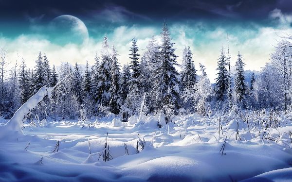 Poèmes sur l'hiver pour les enfants: options pour la maternelle et l'école. Beaux courts versets de poètes classiques russes sur l'hiver