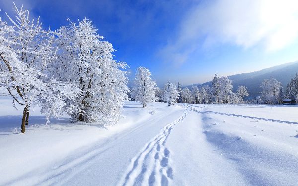 Poèmes sur l'hiver pour les enfants: options pour la maternelle et l'école. Beaux courts versets de poètes classiques russes sur l'hiver