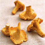 Nous cuisinons des girolles pour l'hiver