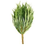Faire des balais pour un bain Faire des balais pour un bain