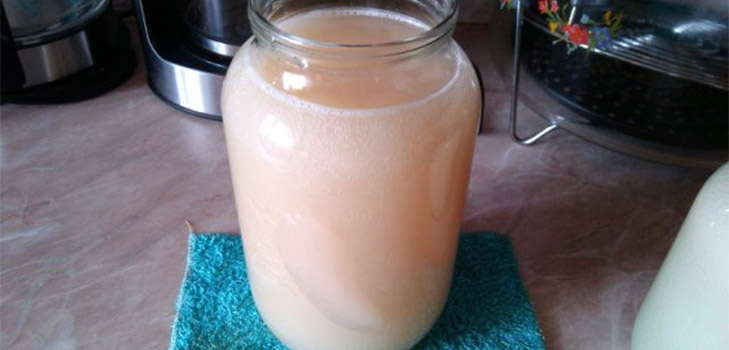 Bregs de recette classique à base de sève de bouleau