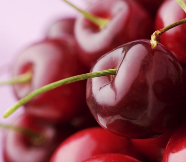 Le vin de cerise maison, une recette simple avec de la vodka, sans levure. Comment faire du vin de cerise à la maison avec un gant Le vin de cerise maison, une recette simple avec de la vodka, sans levure. Comment faire du vin de cerise à la maison avec un gant