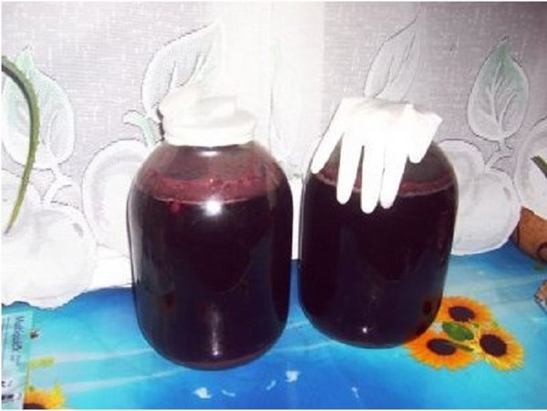 Le vin de cerise maison, une recette simple avec de la vodka, sans levure. Comment faire du vin de cerise à la maison avec un gant
