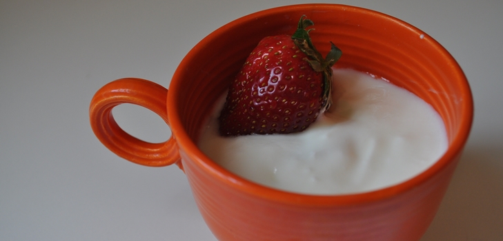recettes de yogourt maison