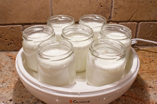 yaourt fait maison à yogurtnitsa