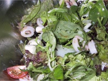 Belle salade légère dans le style méditerranéen 