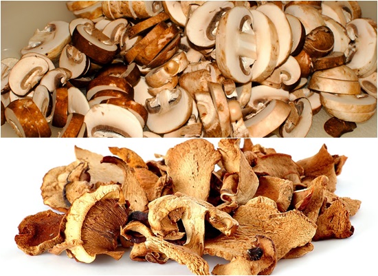 Comment conserver les champignons séchés en photo d'hiver